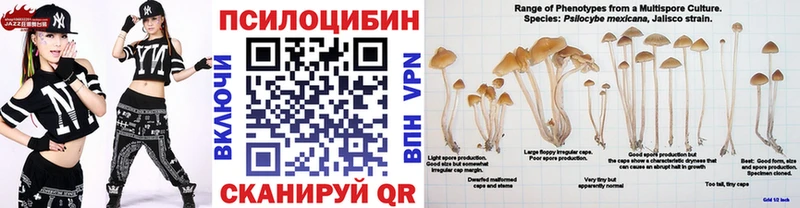 KRAKEN ССЫЛКА  Карабаш  Псилоцибиновые грибы MAGIC MUSHROOMS 